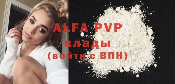 спиды Богданович