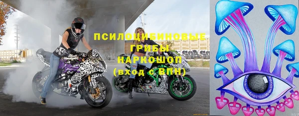 PSILOCYBIN Богородск