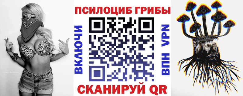 Псилоцибиновые грибы Psilocybe  как найти закладки  Ворсма 